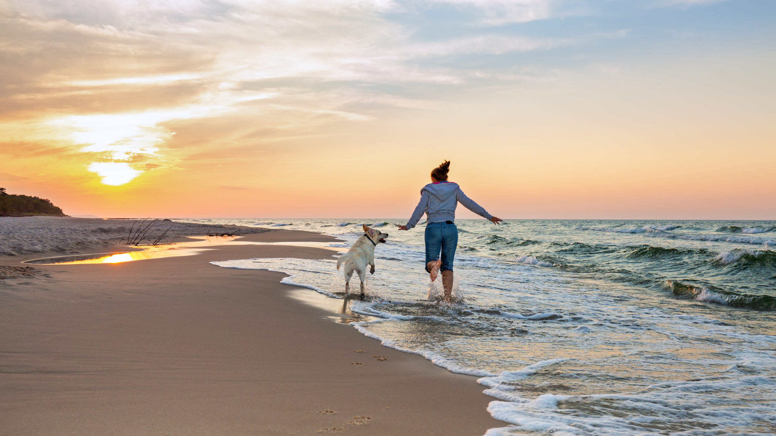 Happy woman on the beach with a dog